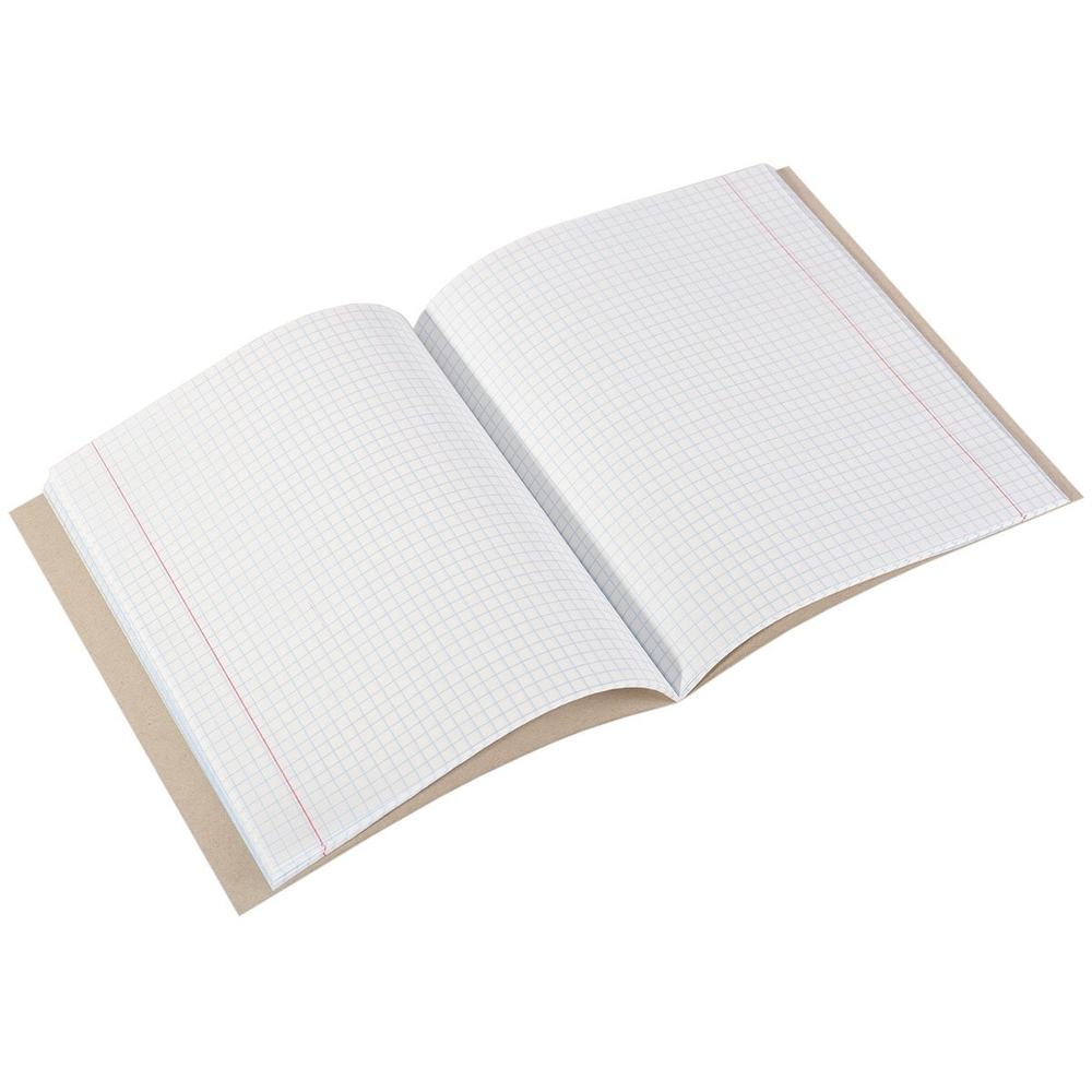 Тетрадь предметная 24л. А5 "Биология" со справочным материалом, скрепка, мелованный картон (стандарт), блок офсет, Alingar "Минимализм"