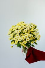 Охапка сантини