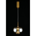 Подвесной светодиодный светильник Aployt Ambr APL.057.06.12