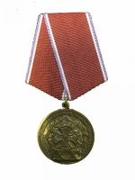 Медаль Участник боевых действий на Северном Кавказе (Ветеран)