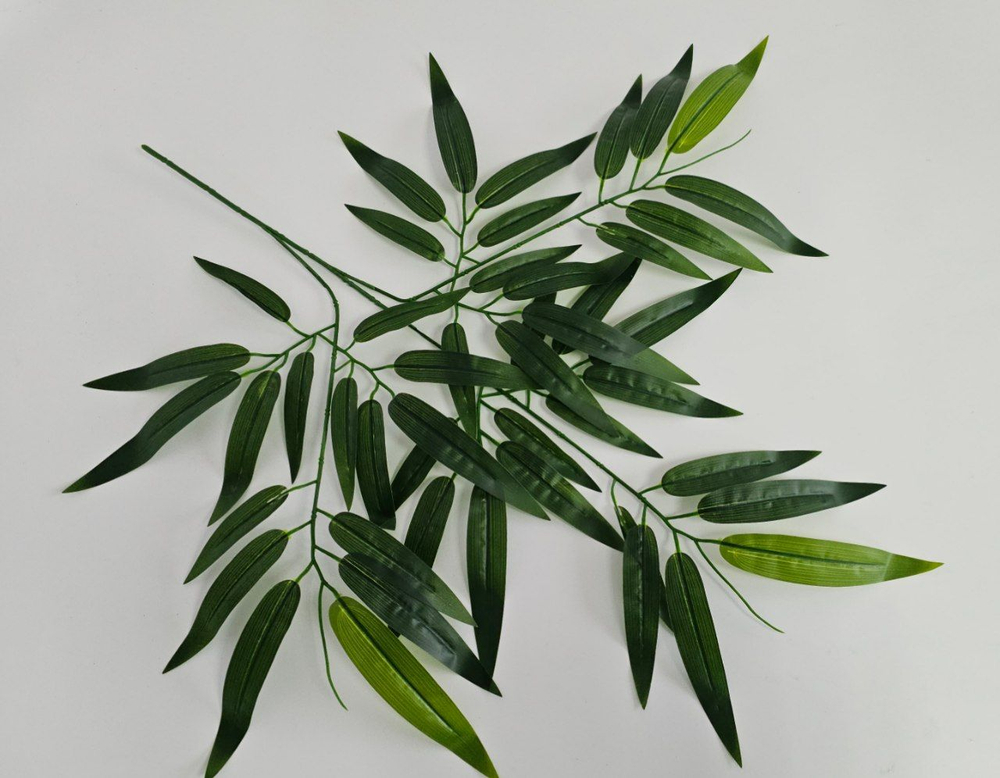 Бамбук крупный лист / Арт 1030