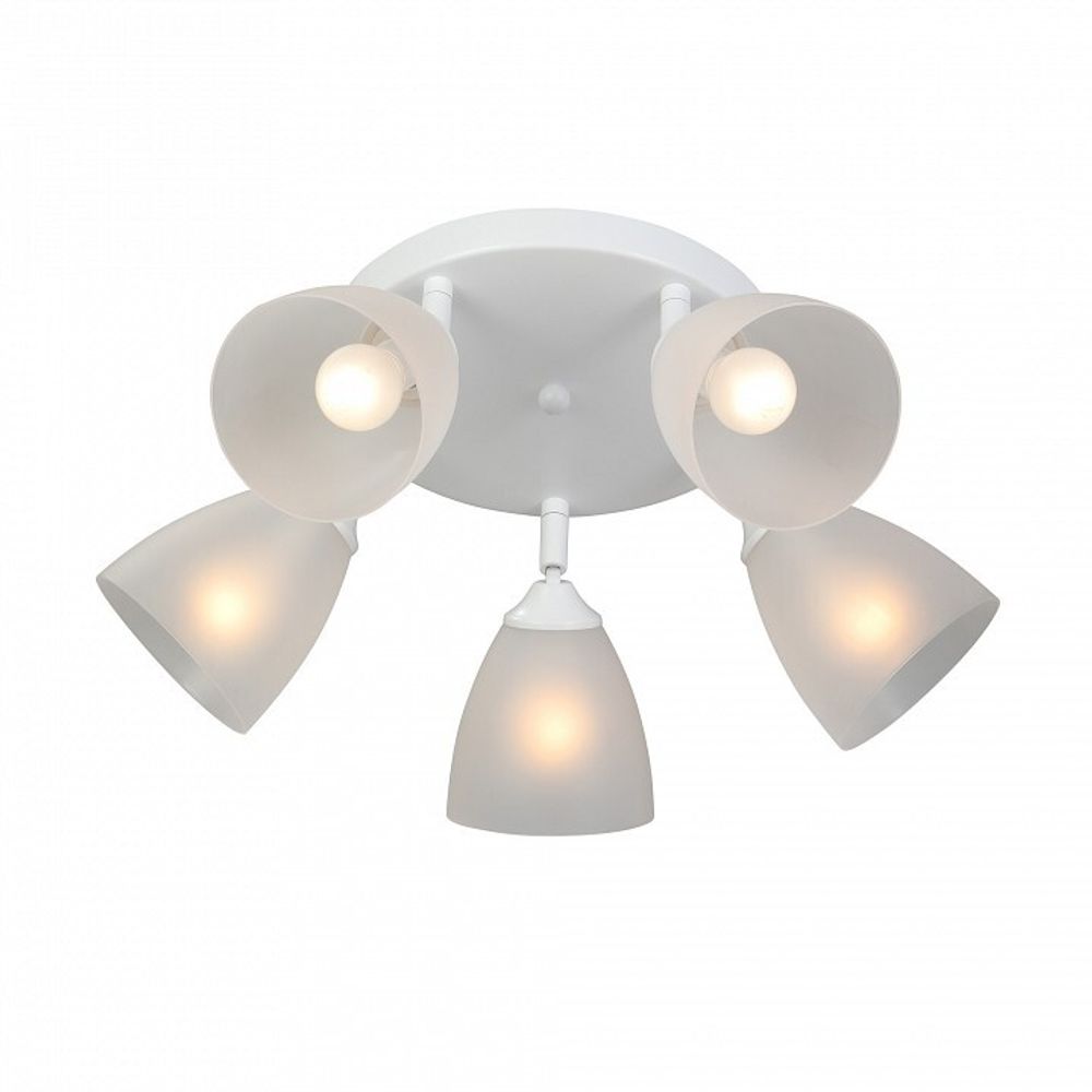 Потолочная люстра Vitaluce V4355 V4355-0/5PL