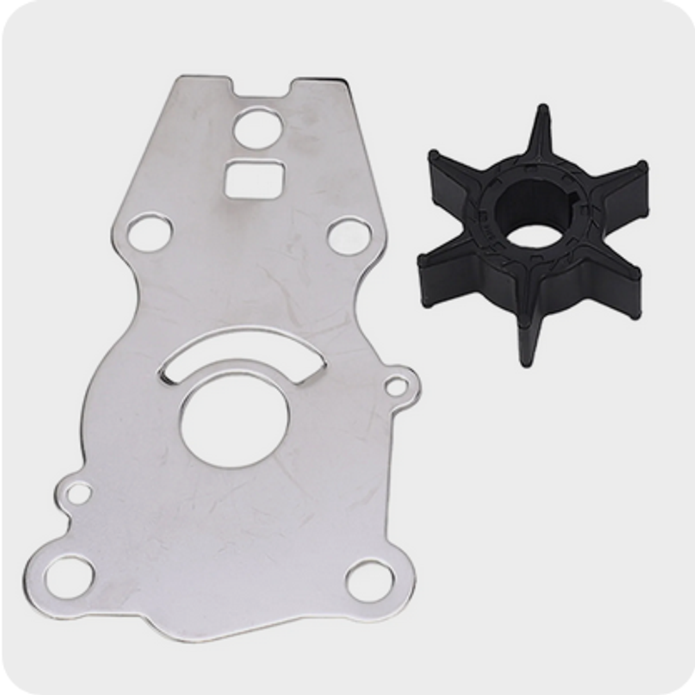 Ремкомплект помпы Yamaha 40 (66T-W0078-00)