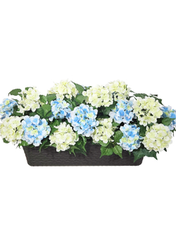 Искусственные цветы Гортензия бело-голубая 70см в балконном ящике ротанг