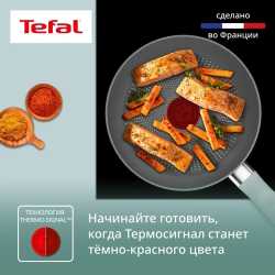 Сковорода Tefal Halo Eucalyptus 20 см G0160202