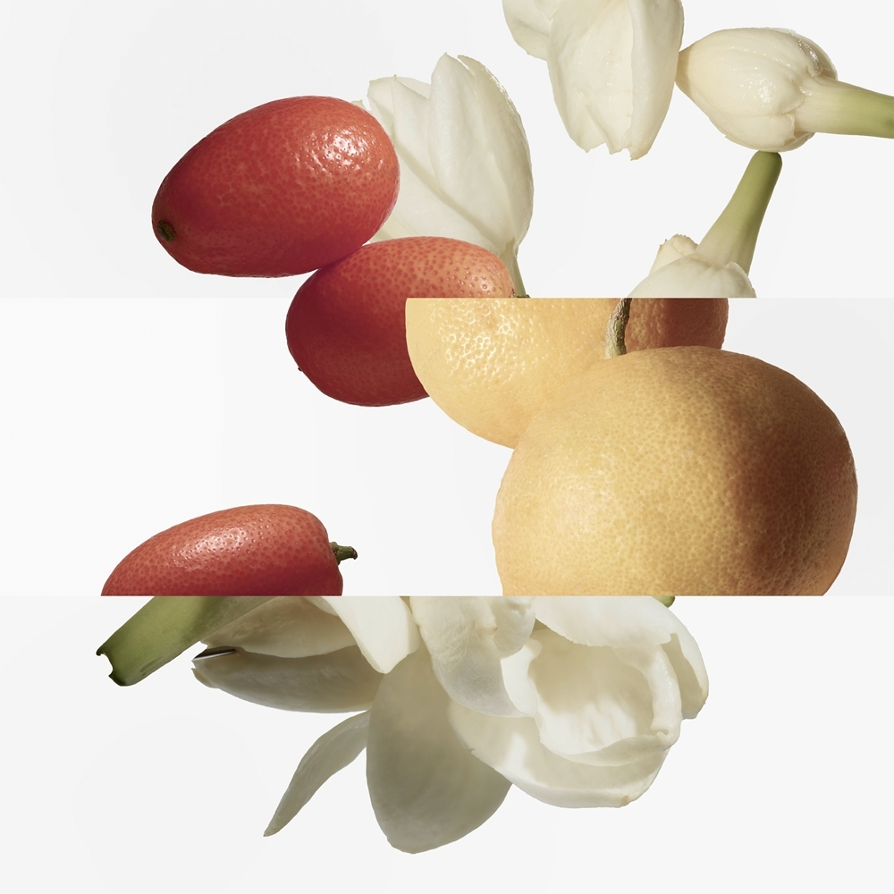 HERMES Parfums-Jardins Collection Le Jardin de Monsieur Li Туалетная вода, дополняющая