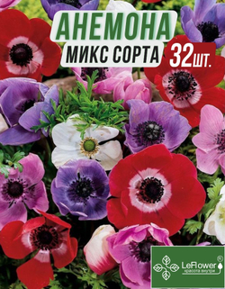 Анемона луковицы, микс сорта 32 шт