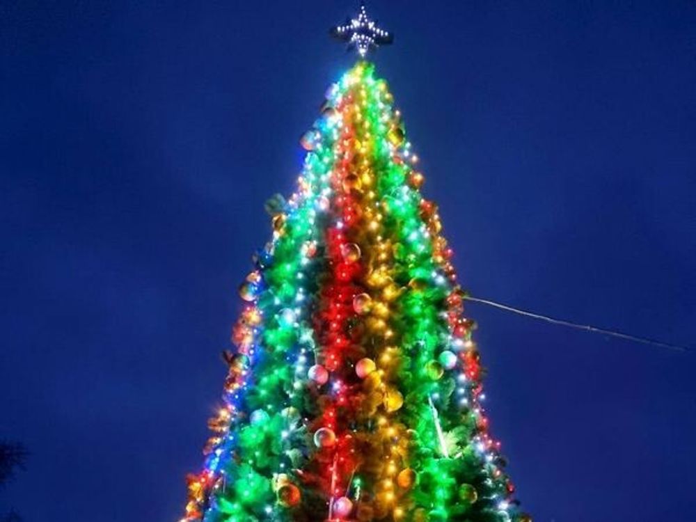 Уличная гирлянда С режимами: Цветная "Классик GT" (24В) - на елку от 3 до 30 м