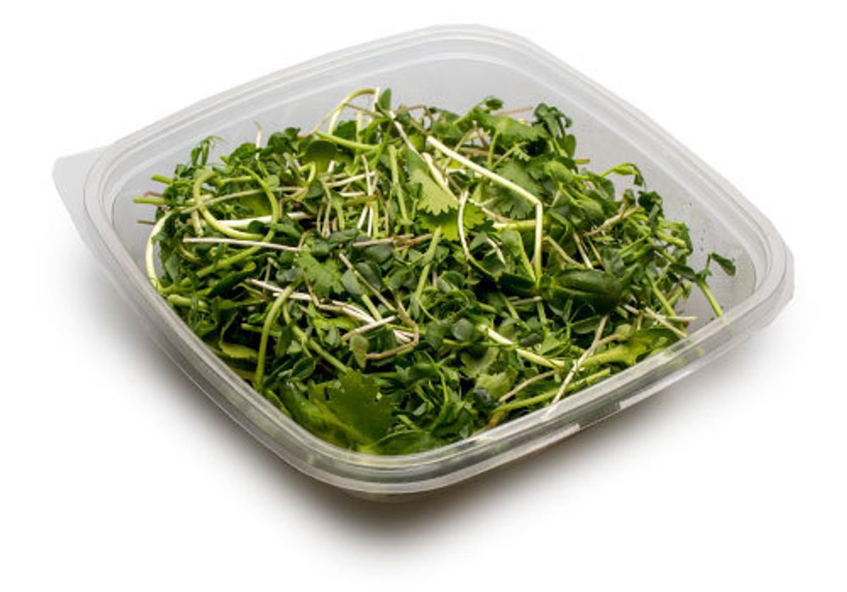 Салатный микс микрозелень № 3, 80г