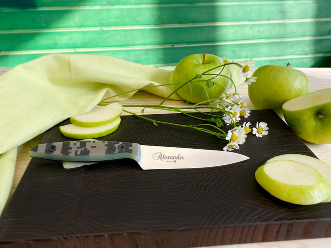 Кухонный нож Alexander S N690 Camo G10
