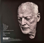 David Gilmour / Luck and Strange (LP)