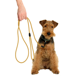 Поводок Weekend Doglea