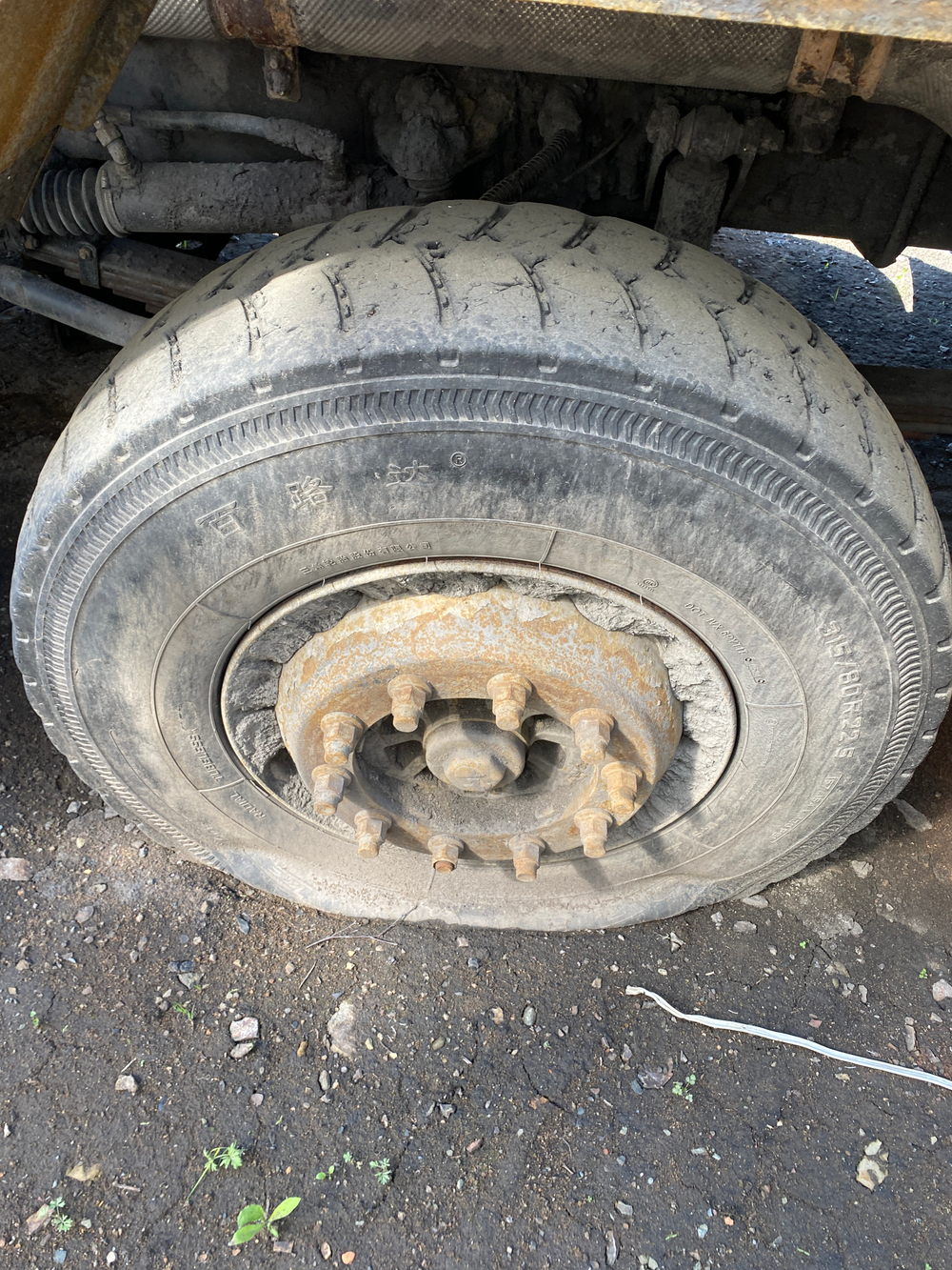 Shacman (Shaanxi) SX* 8x4 Самосвал SX33186V366 (Дизельный, 11,6 л, 423 л.с., МТ)