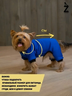 Комбинезон для собак кошек сфинкс кофта костюм для животных