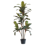 Кордилина Бордо 110 см.