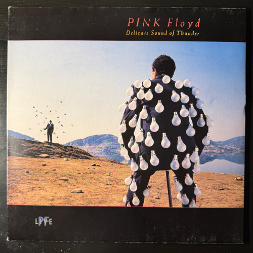 Pink Floyd - Delicate Sound Of Thunder 2LP (Европа 1988г.)