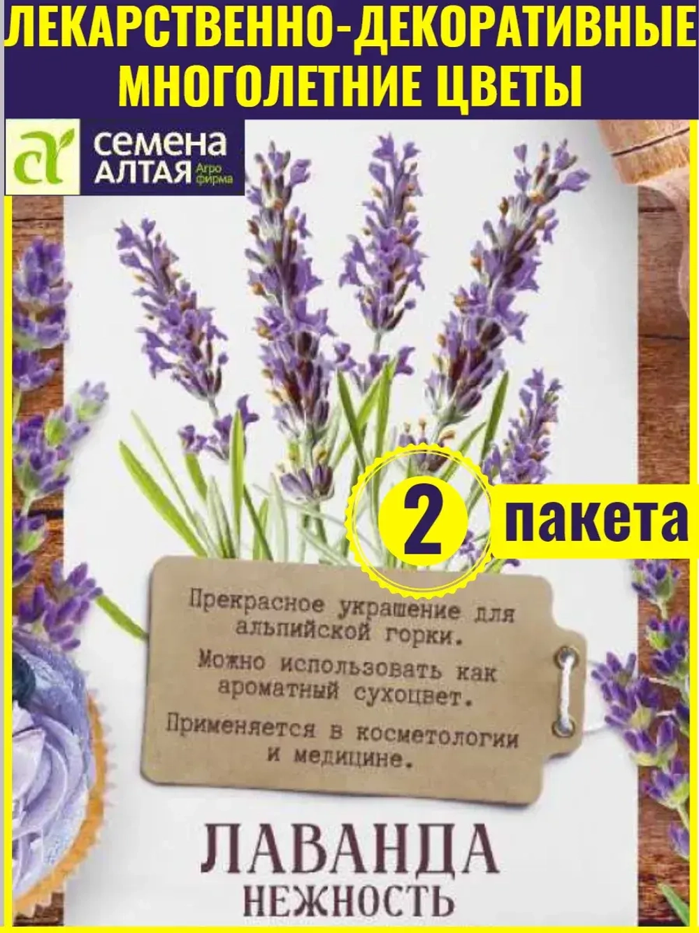 Семена многолетних цветов Лаванда Нежность