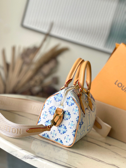 Louis Vuitton Speedy 20