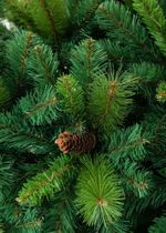 Ель с шишками "Байкальская" (Леска+пвх) высота от 1,2 м до 2,4 м