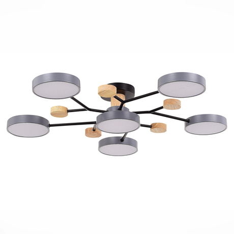 Светильник потолочный Evoluce Faema SLE6006-702-06