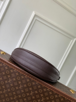 Louis Vuitton Loop Hobo Bag