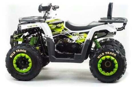 Квадроцикл Motoland ATV 200 WILD TRACK