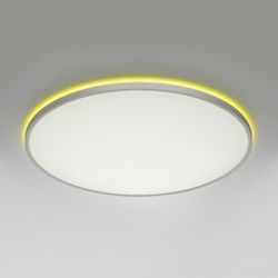 Citilux NORMA CL749600 LED RGB Светильник с пультом Белый