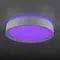 CL751250G BOSS Белый  LED Св-к с пультом
