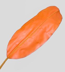 TR 607L Банановый лист