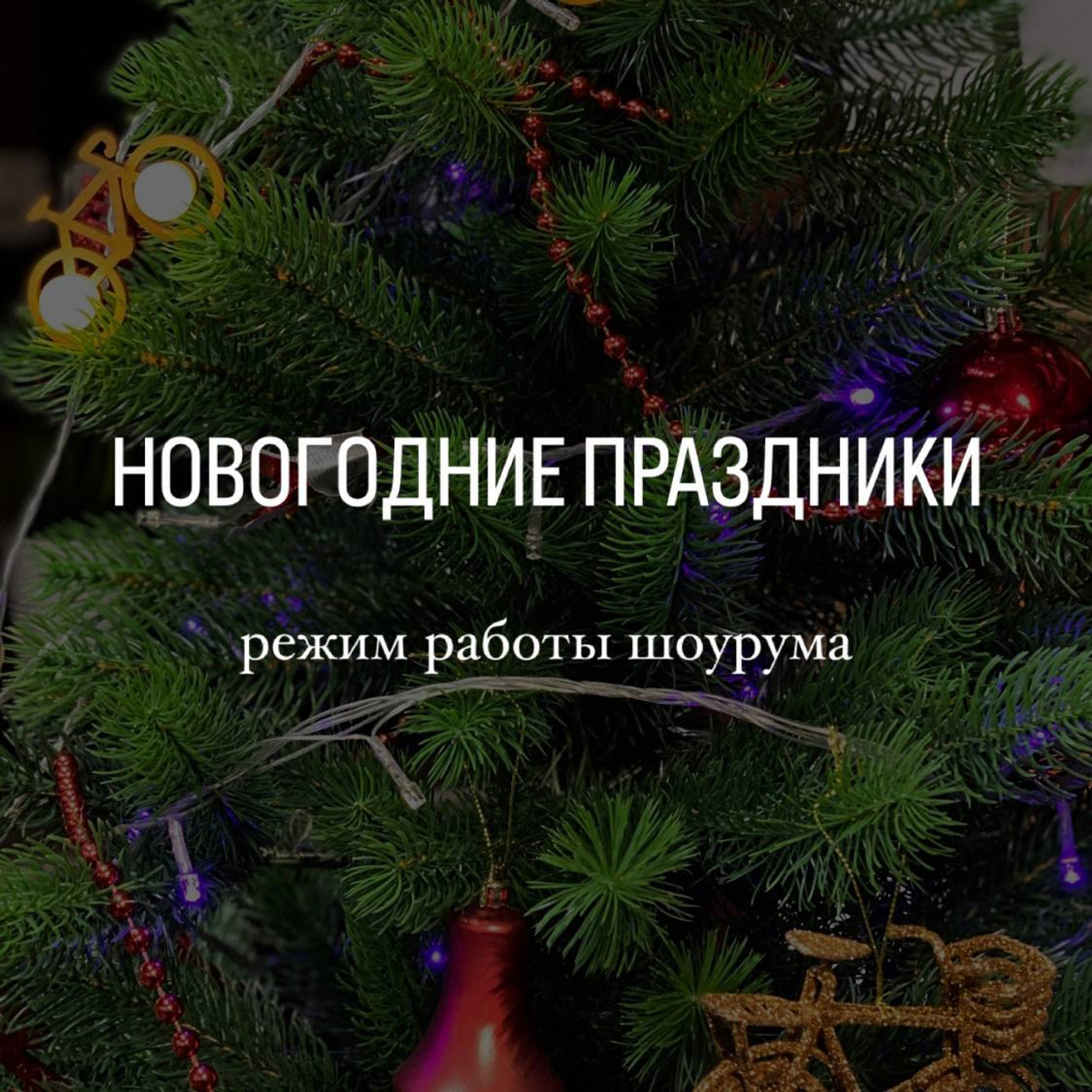 Новогодние праздники: режим работы