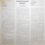 Survivor / Eye Of The Tiger (LP)