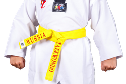 Пояс для тхэквондо ProfSport с вышивкой желтый