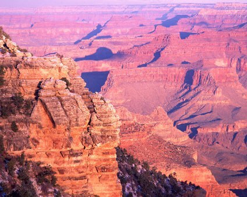 Природа 2 №18 Фотообои и Фрески ручной работы