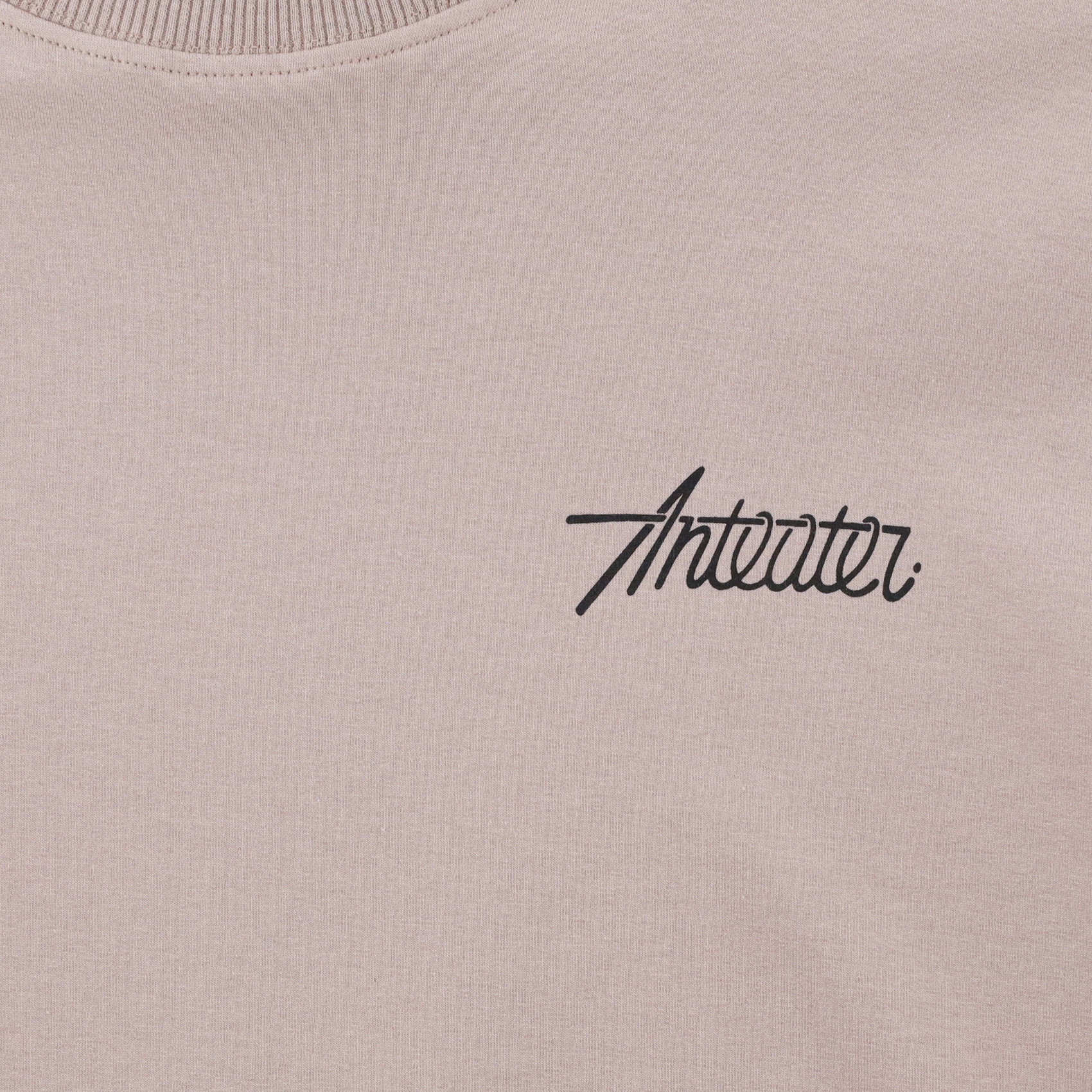 Футболка Anteater Phat Tee 354 (beige) артикул: - купить в магазине Дайс