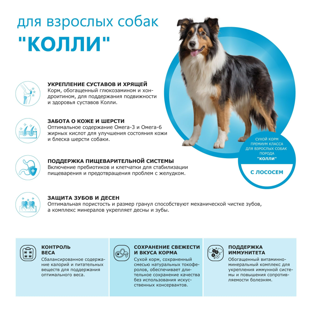 Корм сухой для взрослых собак породы Колли, премиум полнорационный комплекс, с лососем, 12 кг, QUATTRO