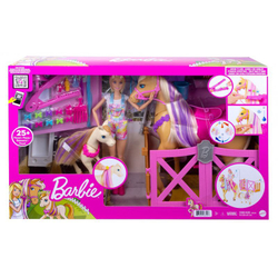 Mattel Barbie Забота и уход, GXV77