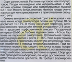 Патиссон Зонтик 1 г СМПАТ-04