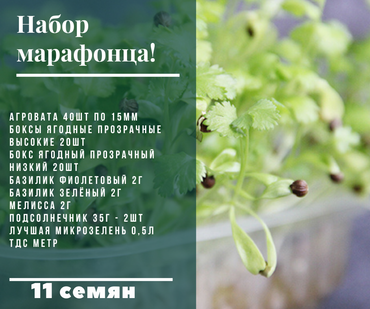Популярные товары