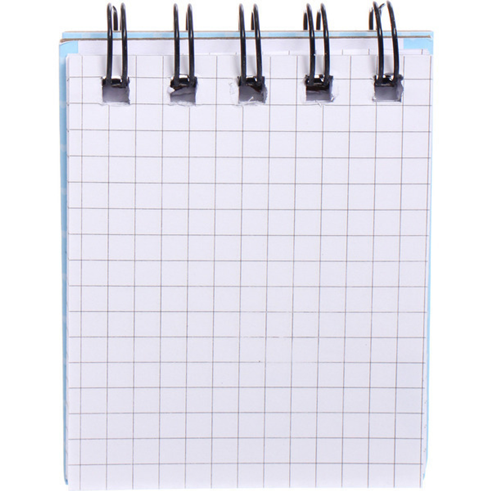 Блокнот детский карманный «Влюбленная Парочка Френсис», +/- 70 листов, клетка, 7*9*1 см (пакет с подвесом)