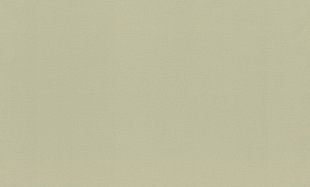 Rasch 1.06m*10m 983562 Novela Xl