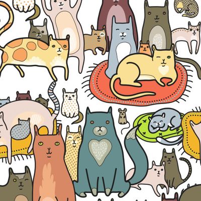 Разноцветные коты на белом фоне.