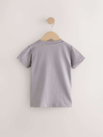 Футболка для мальчика Next AM8-642, Серый