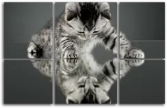 Модульная картина "Отражение кошки"