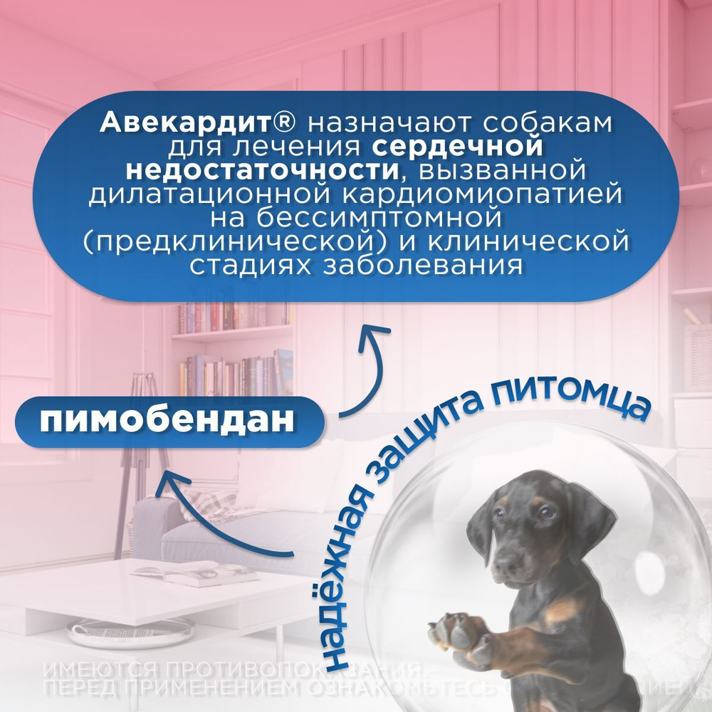 Таблетки для лечения сердечной недостаточности у собак Авекардит 5мг VIC, 28 таблеток Пимобендан
