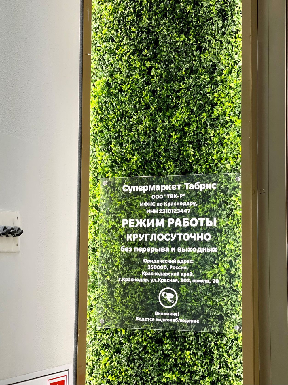 Вертикальное озеленение панелями из искусственной зелени  входной группы в супермаркете "Табрис" г.Сочи