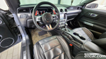 Ford Mustang Coupe (10.2021)