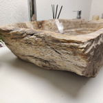 Раковина из окаменелого дерева FossilBasin OD-61258 48*40*17
