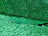 Стекло переднее правое Toyota RAV4 XA50 (2018-нв)