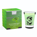 Массажная свеча для поцелуев INTT с ароматом мяты 40 г