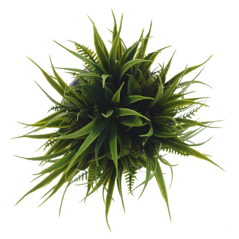 GAEM Цветочная композиция "Трава с папоротником", L12 W12 H17 см